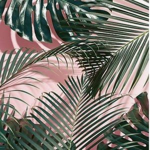 Meet your Posher, Lena